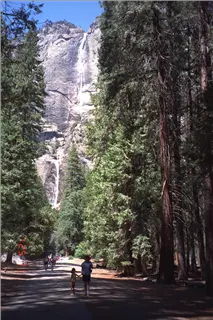 small_9400 1024 family yosemiteImg0078.webp